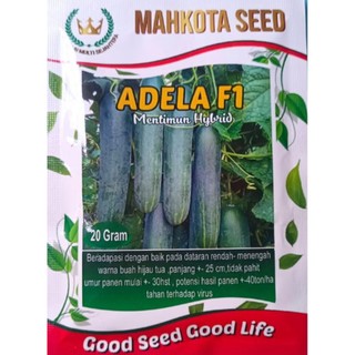 Benih Timun Green Semi Hibrida Mahkota Seed  F1 bisa COD