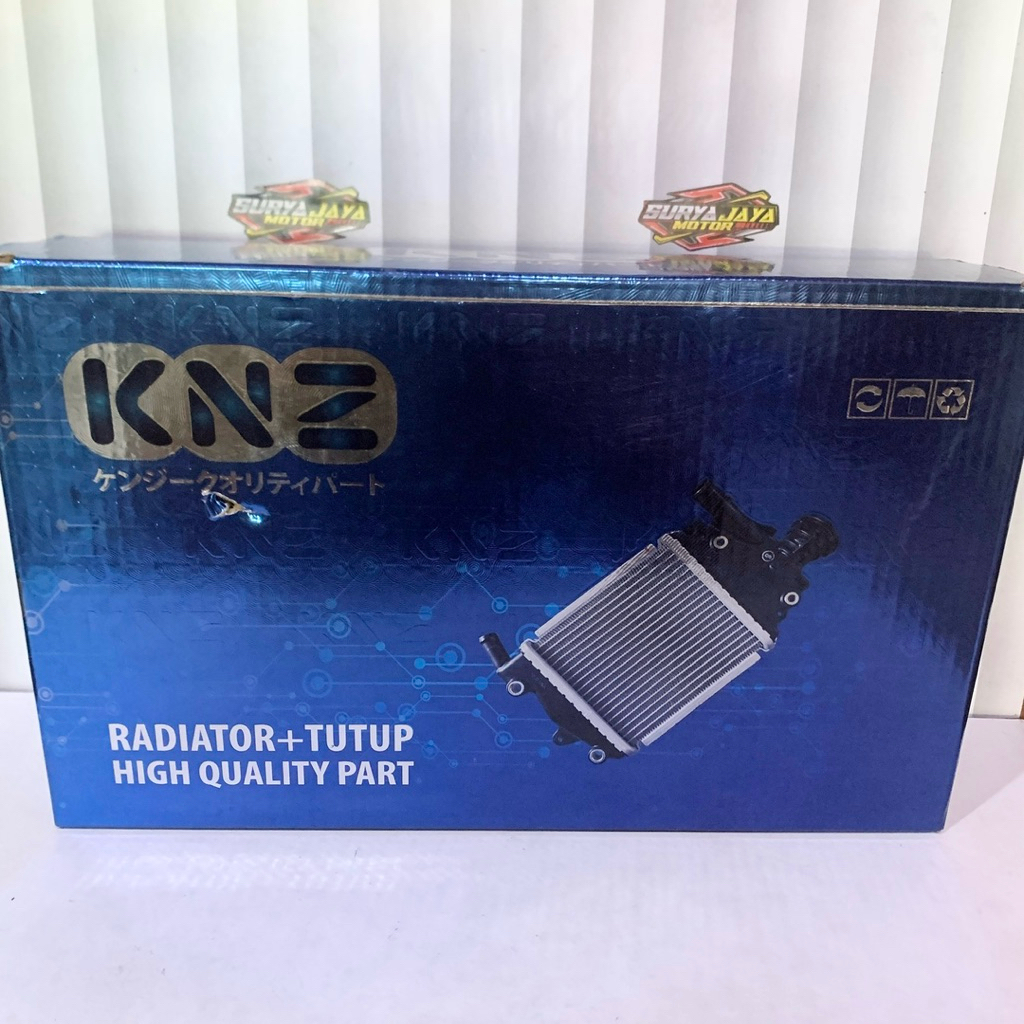 RADIATOR + COVER Vario 125 Vario 150 | KNZ KNZ KNZ