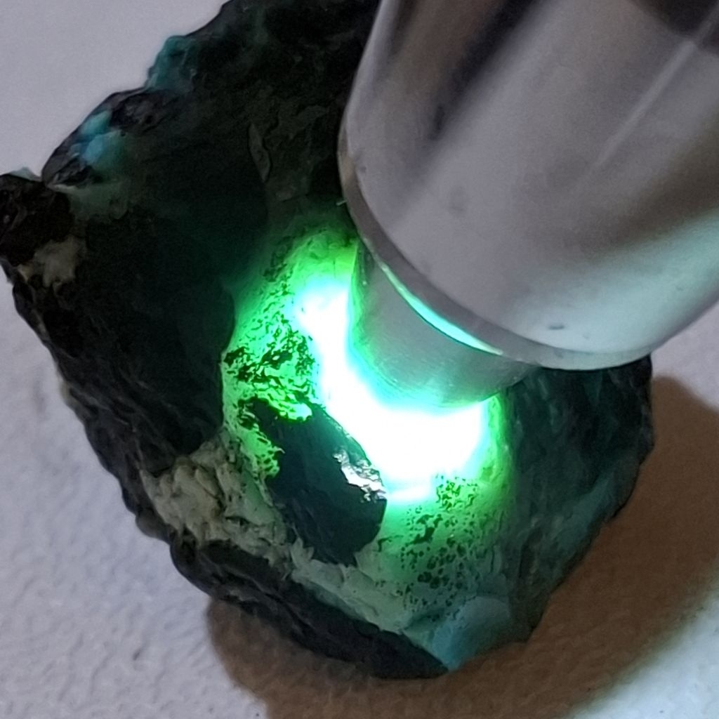 BACAN DOKO ติ่มซําธรรมชาติ 45x32x21