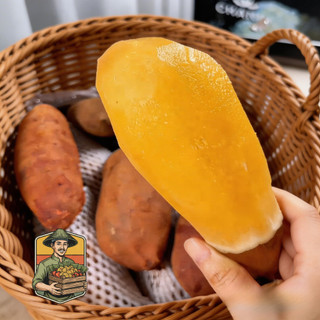 Ubi Yakon Viral Asli Wonosobo 500gr & 1kg Dieng, Menu Diet Sehat, Umbi Yacon Kuning Original
