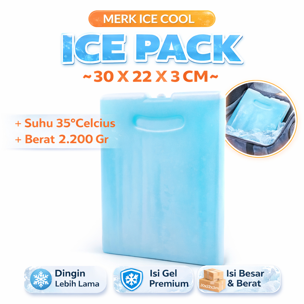 ICE CREAM COOLER BOX / ICE PACK FROZEN FOOD / ICE JELL PACK