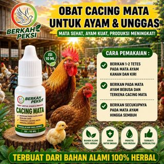 OBAT TETES CACING MATA AYAM BEBEK ENTOK UNGGAS CACING MATA MEMBASMI CACING MATA BERBUSA BERAIR