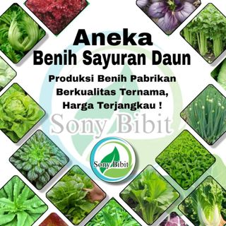 Aneka Benih Sayuran Banyak Varian - daun Sempit Mudah Di Tanam