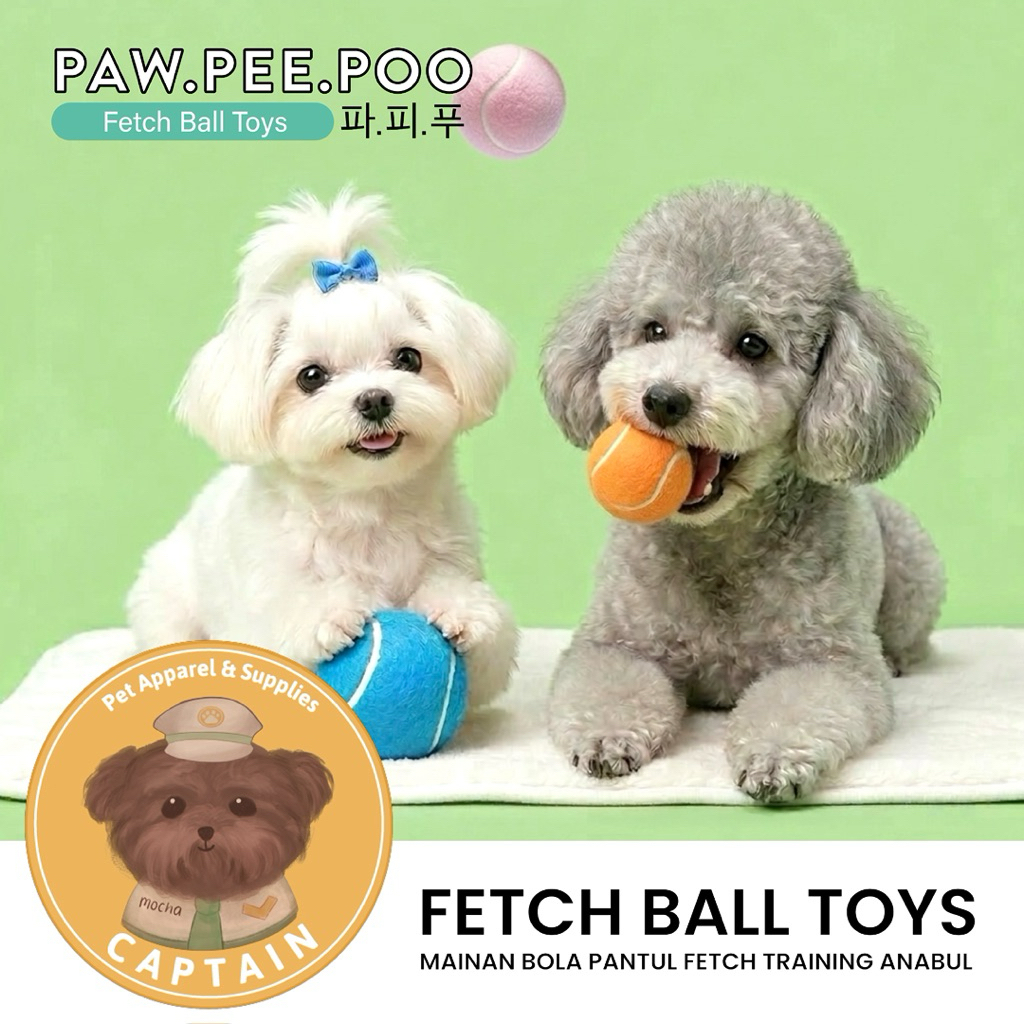 FETCH BALL SET 3PCS DOG TOYS PAWPEEPOO PET TRAINING BALL