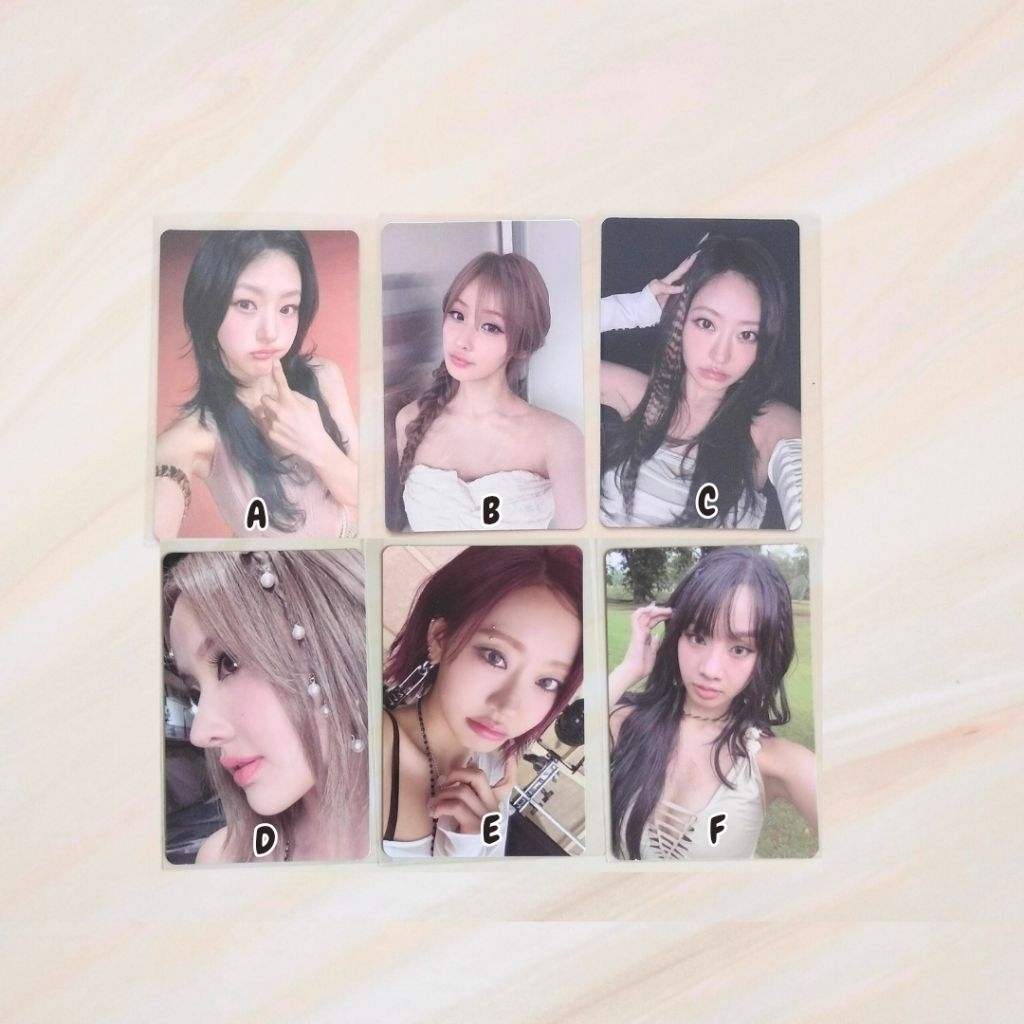 Kiss of life official photocard pc kiof Belle natty Julie haneul อัลบั้ม shhh เกิดมา xx Midas touch 