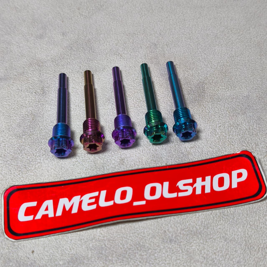 Pin Tojosan Caliper Nissin Titanium GR5 Original Vietnam / Tojosan caliper nissin Titanium
