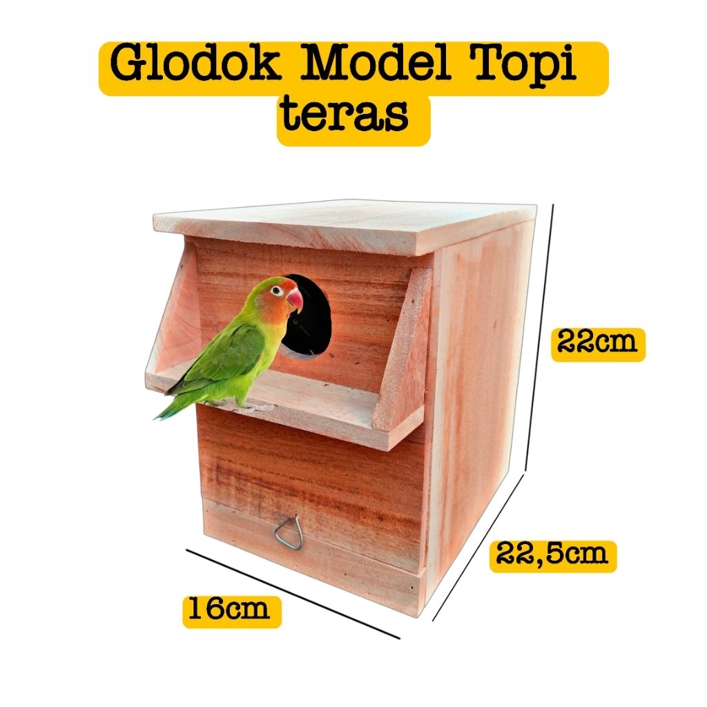 รุ่นหมวกกlod lovebird | ประตูหน้า terrace