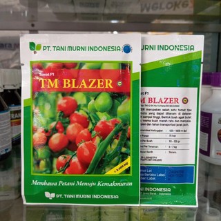 Benih Tomat Besar TM Blazer F1 3000 Biji