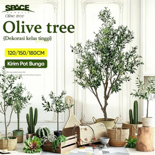 PACPIE 180CM Pohon Zaitun Dengan Pot Hitam / Artificial Olive Tree Hiasan Dekorasi Ruang Tamu