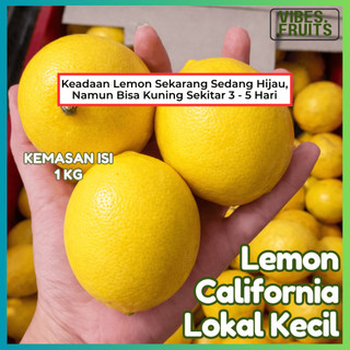 Lemon California Kecil Lokal Fresh Kuning / Lemon Lokal Kuning Ukuran Kecil Fresh Segar Banyak Air