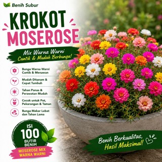 Benih Krokot Moserose 100 Butir – Bunga Cantik Warna Cerah, Mudah Tumbuh untuk Taman & Pot