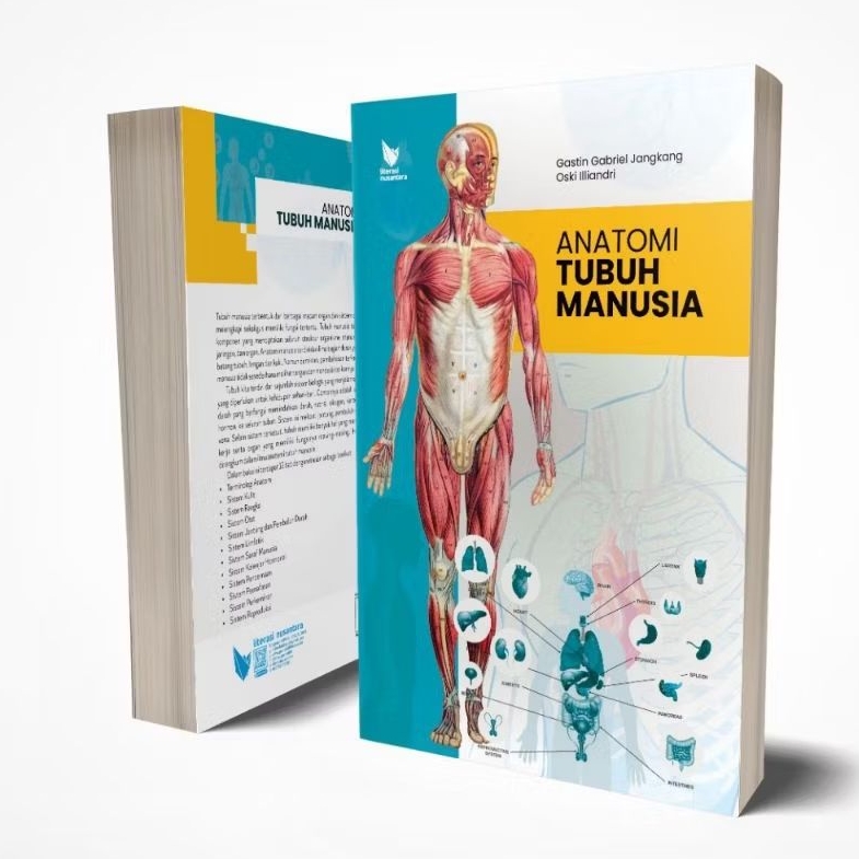 Anatomy Human Body - ช่วง Gastin Gabriel