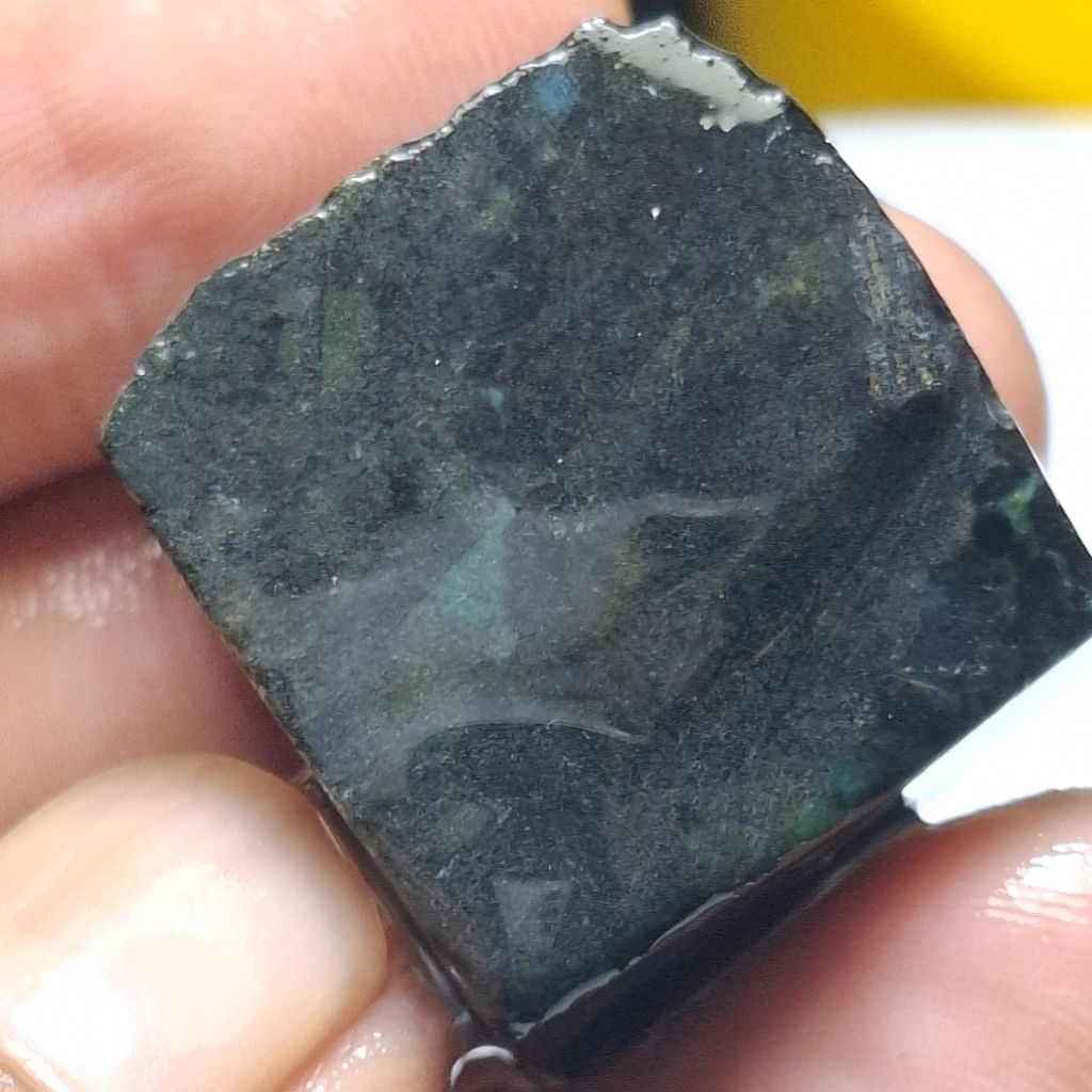 BACAN DOKO ติ่มซําธรรมชาติ 23x21x15