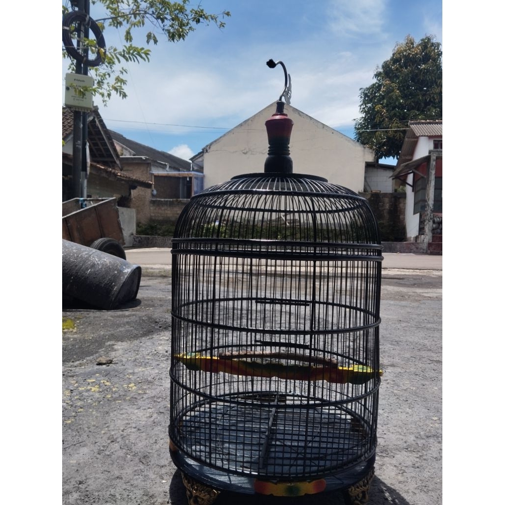 SUNNING CAGE/BIRD SUN CAGE สําหรับ DOVE และ ANY BIRD