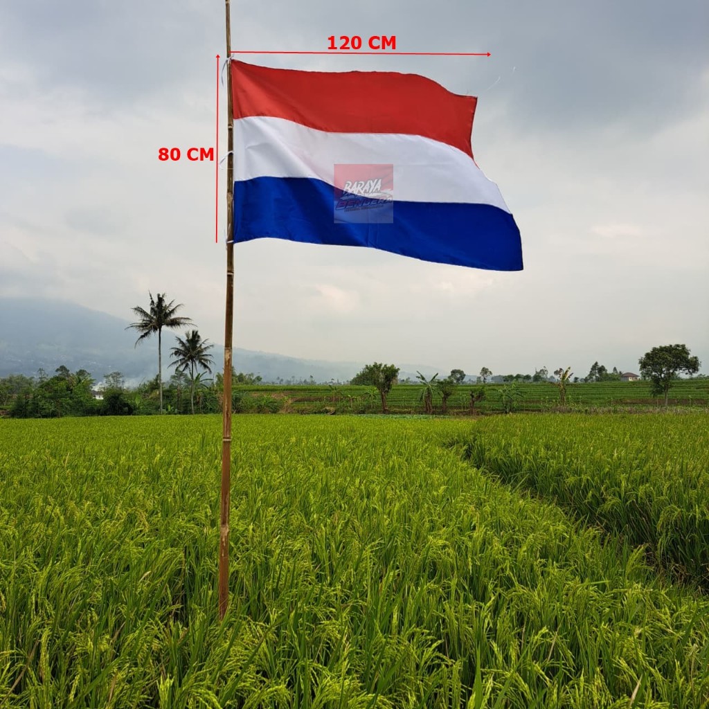 DUTCH FLAG ขนาด 120 CM x 80 CM
