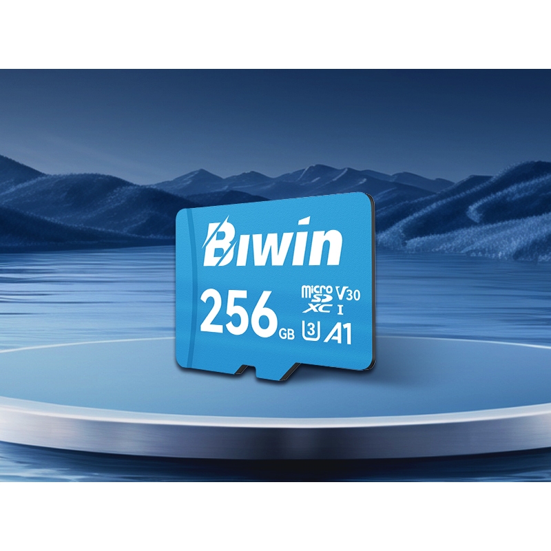 BIWIN Micro SD UHS-1-256GB/128GB/64GB/32GB