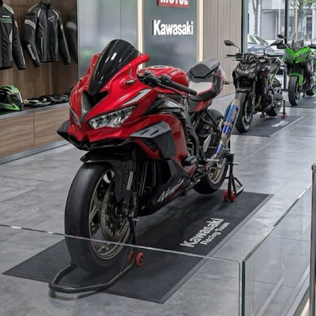 Winglet Zx25r Zx4rr Zx การพิมพ์ 3D ขนาดใหญ่