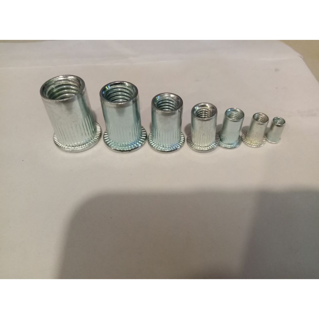 สีขาว RIVET NUT INSERT NUT สีขาว RIVET 10X21