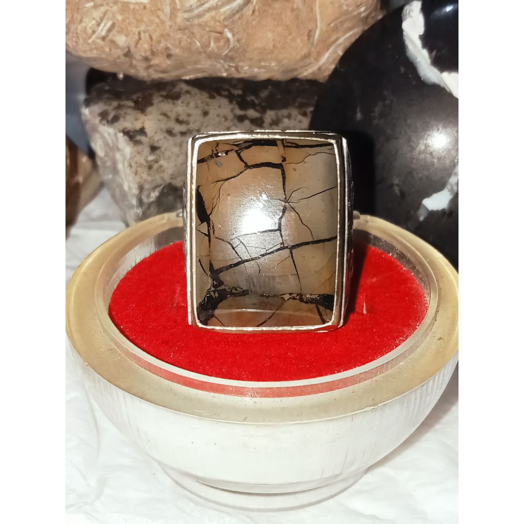 ศัตรู DRAGON SCALES*