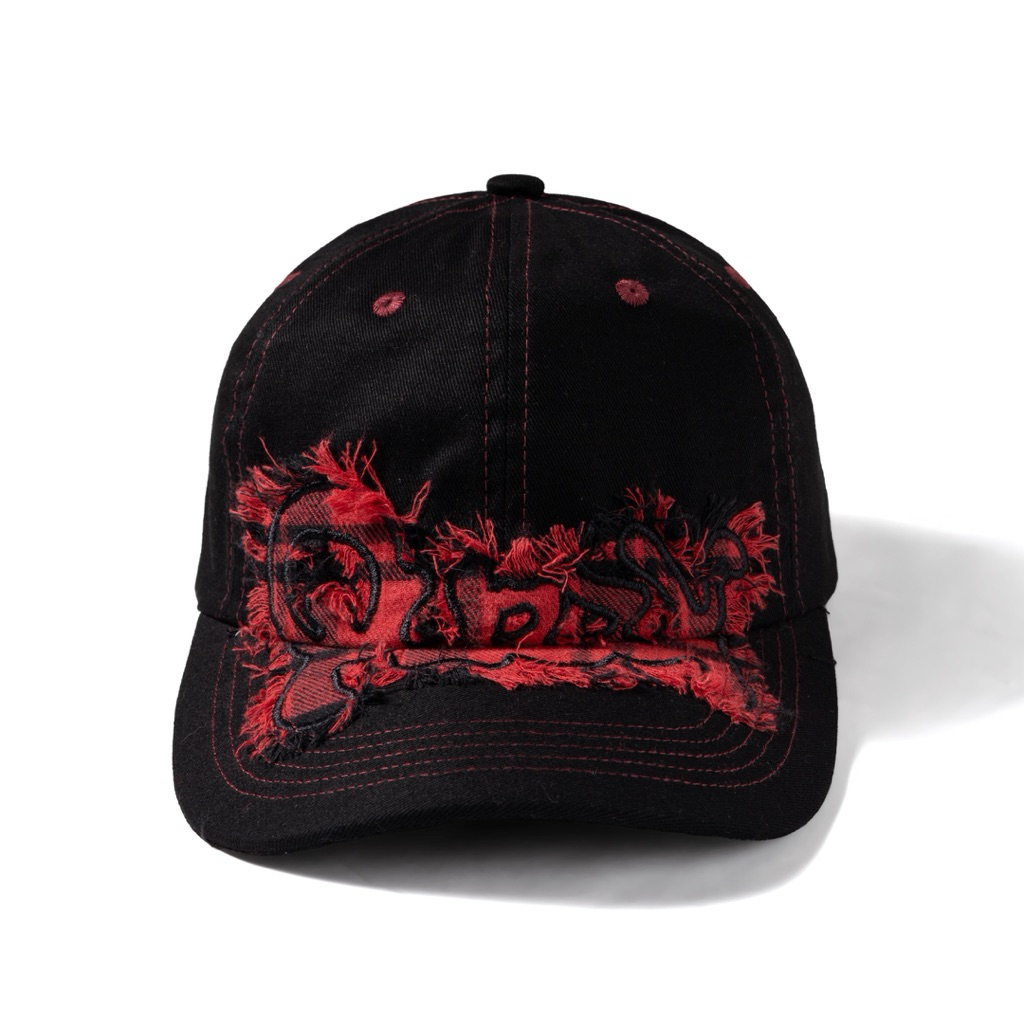 QUEST 6 PANEL*******