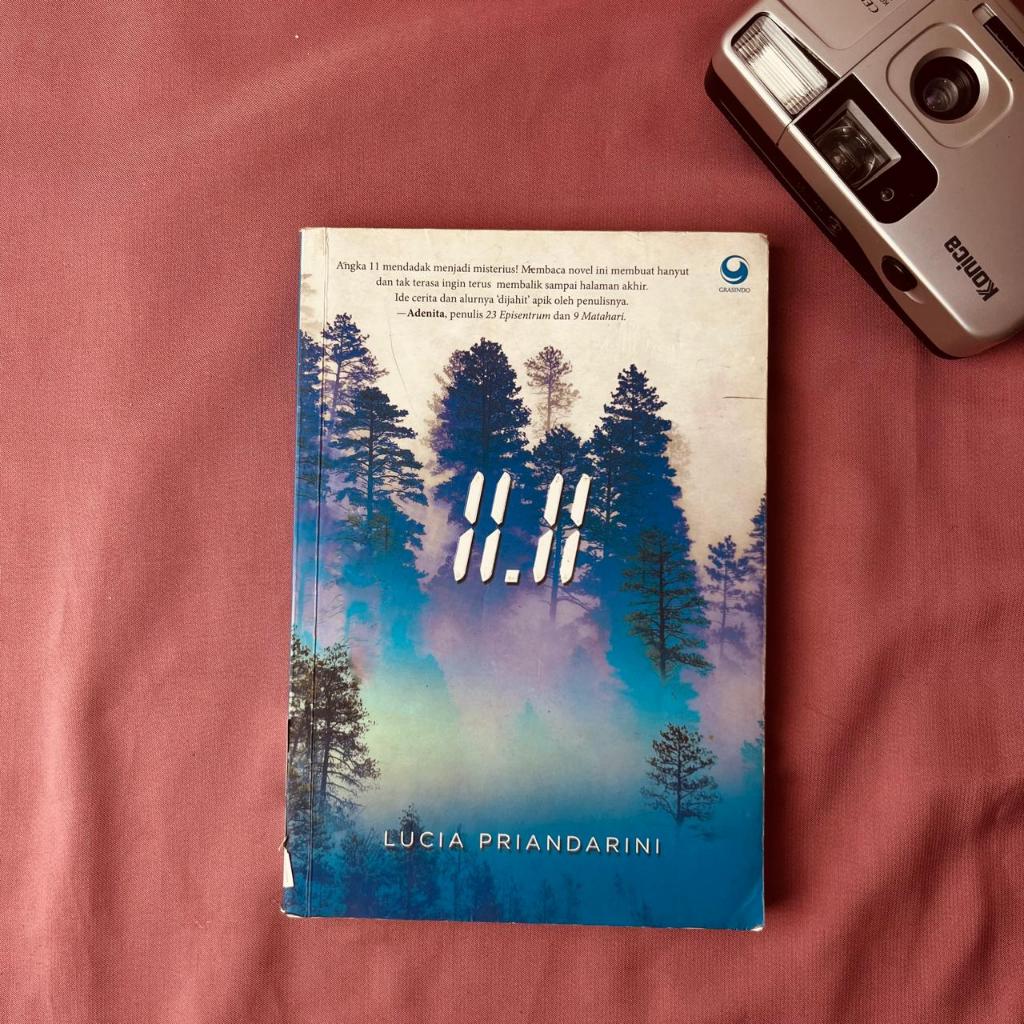 นวนิยาย 11.11 ของ Lucia Prialdarini / นวนิยายวัยรุ่น Lucia Prialdarini