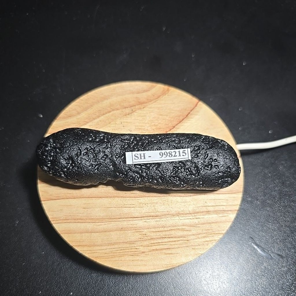 TEKTITE METEORITE ROUGH HQ ดั้งเดิมพร้อมบันทึกล่วงหน้า