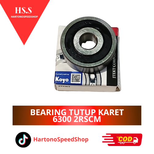 BEARING LAHER LAKER ยางหมวก 6300 2RSCM NTN KOYO ORIGINAL