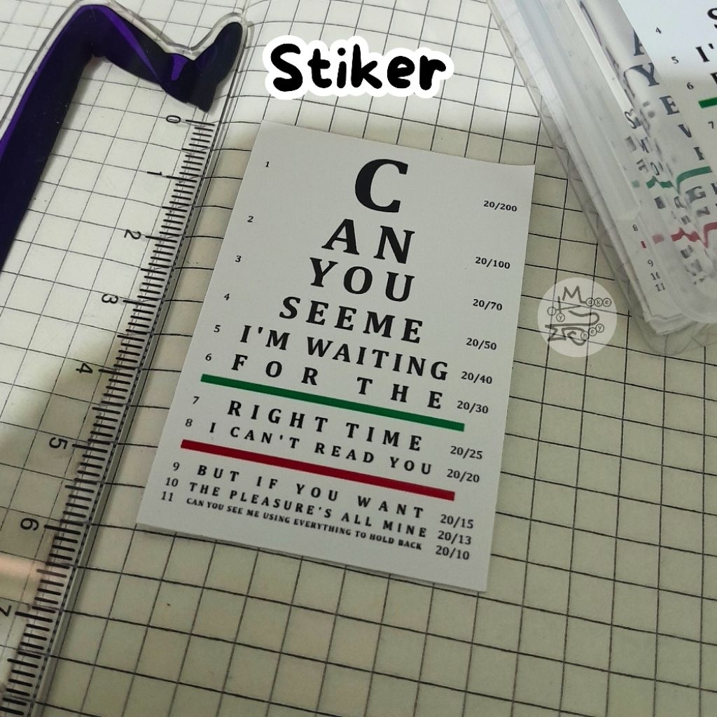 Can You See Me Clairo-Bags Snellen Chart Sticker/ Can You See Me Clairo-Bags Slen Chart Sticker