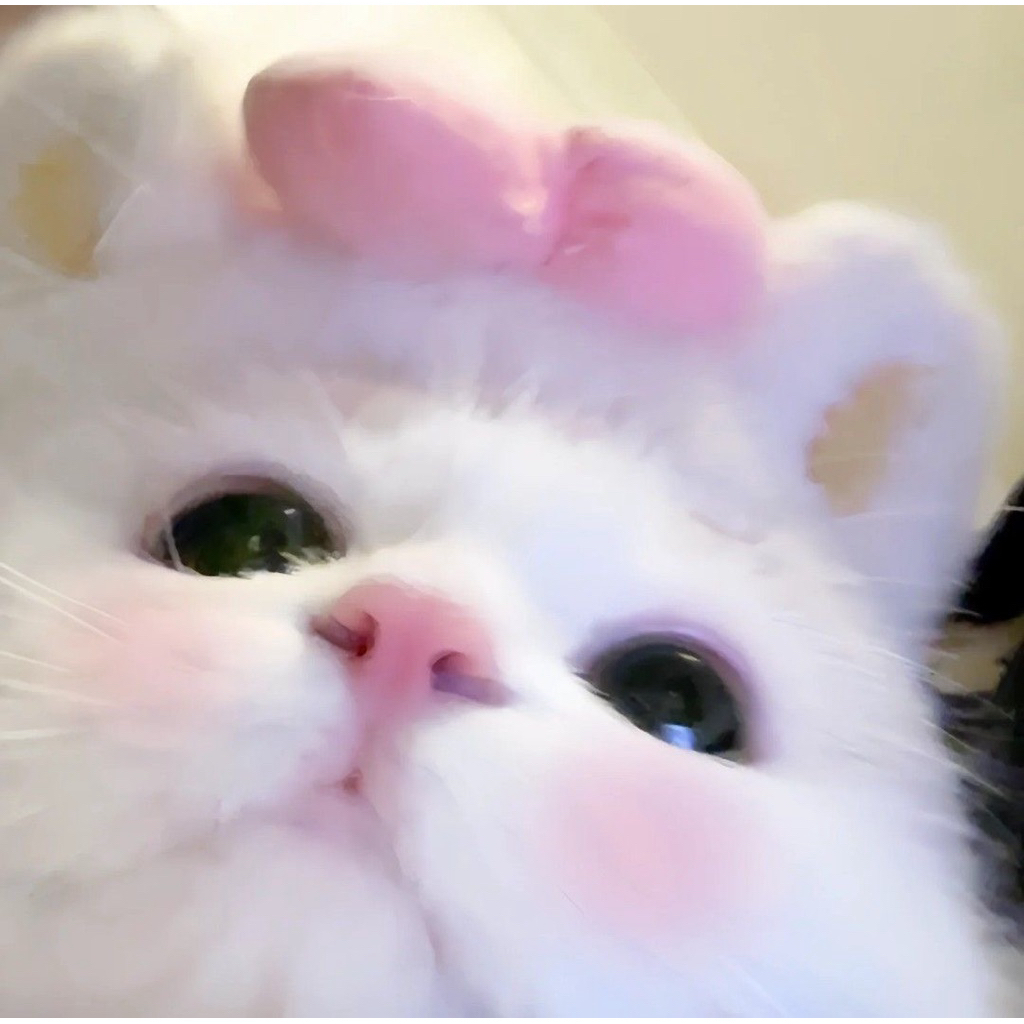 SPLIT PAY***********