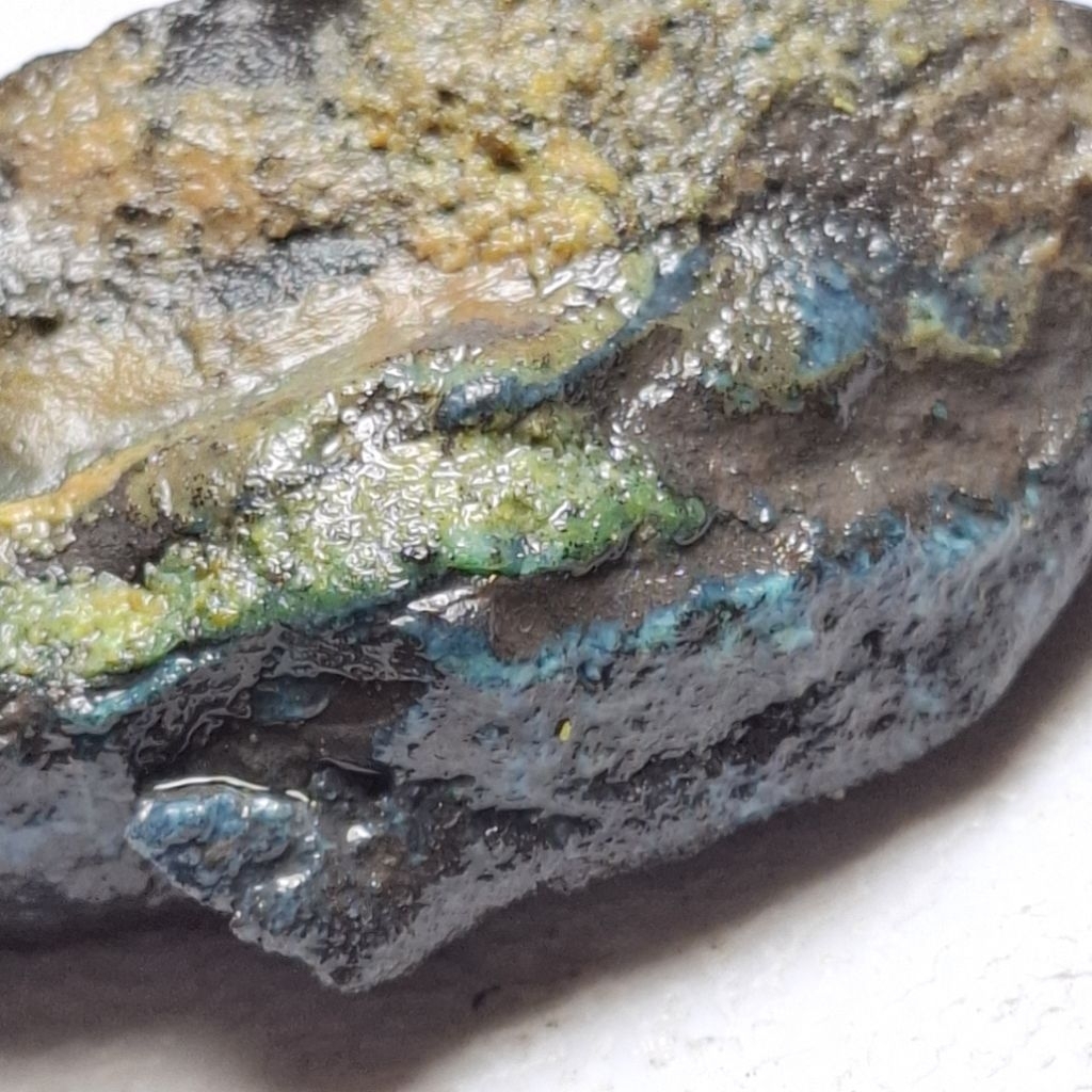 BACAN DOKO ติ่มซําธรรมชาติ 45x23x15