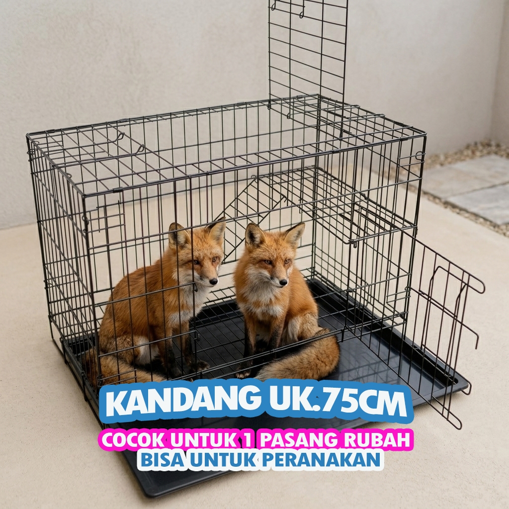 FOX CAGE UK.75 - ฟรี LADDER RACK, NAME TAG, TRAY - UK.48 X 30 X 38, สามารถพับได้