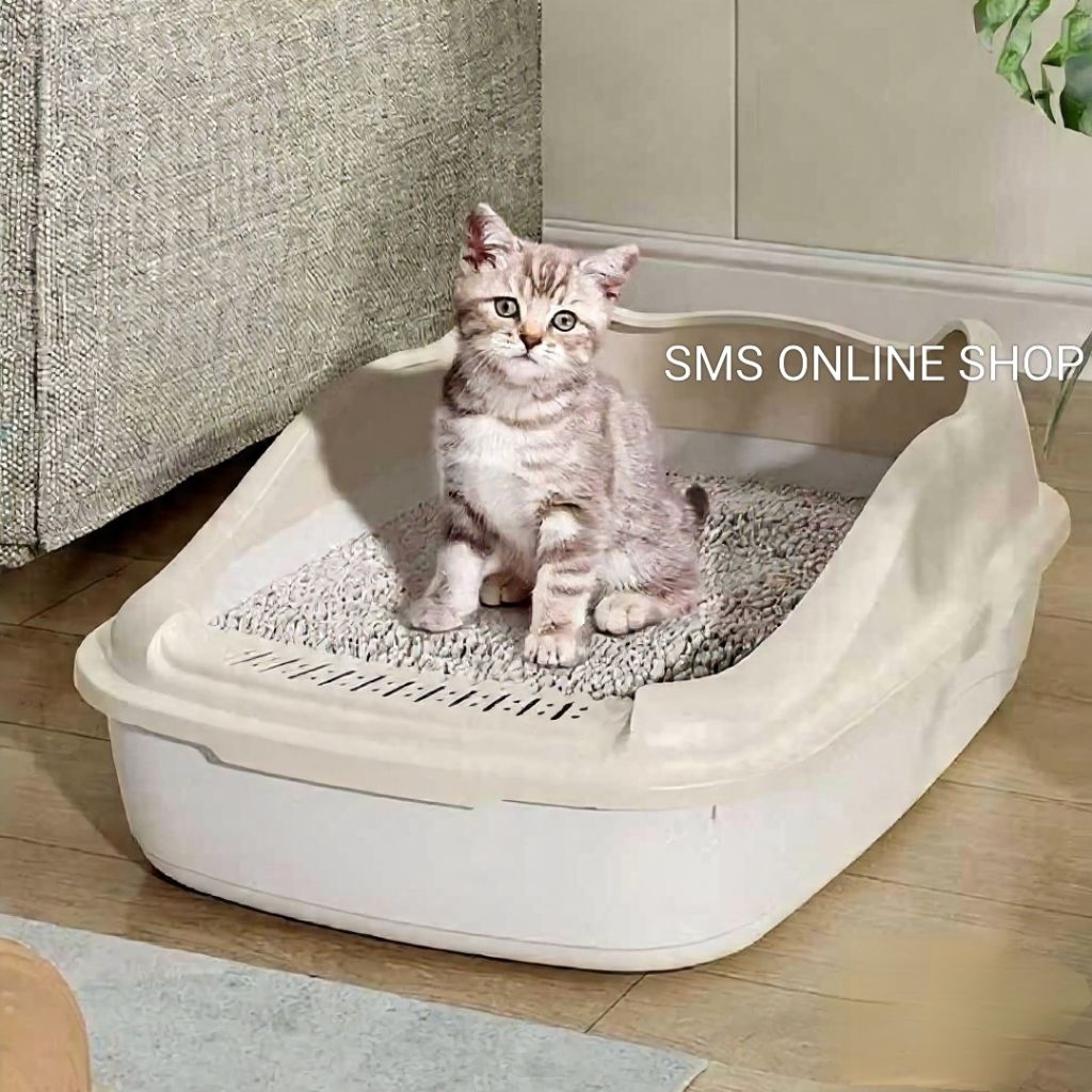 CAT EAR MODEL CAT SAND PLACE