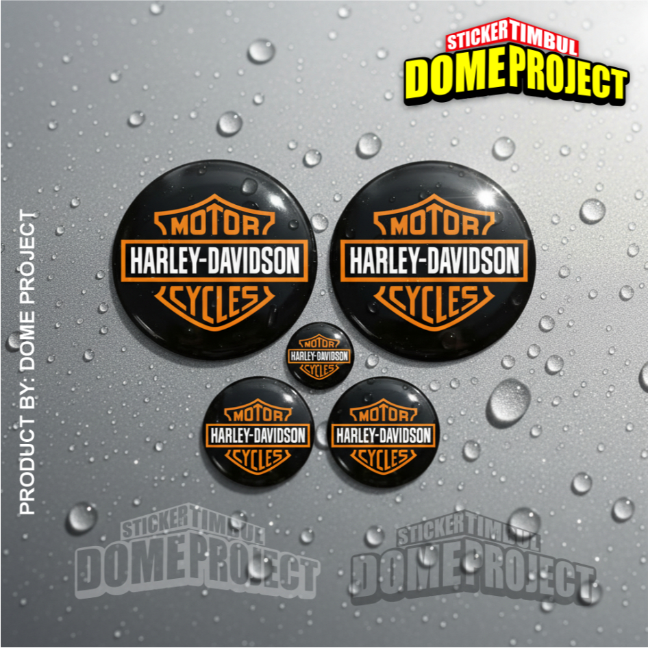 HARLEY DAVIDSONS RAISED STICKER SET FLEXIBLE WATERPROOF EMBLEM