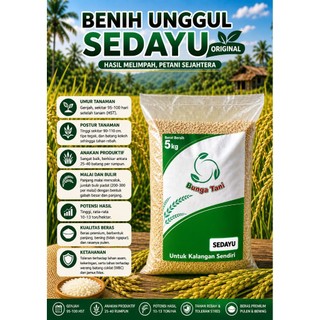 BENIH PADI SEDAYU KEMASAN 5KG kualitas premium