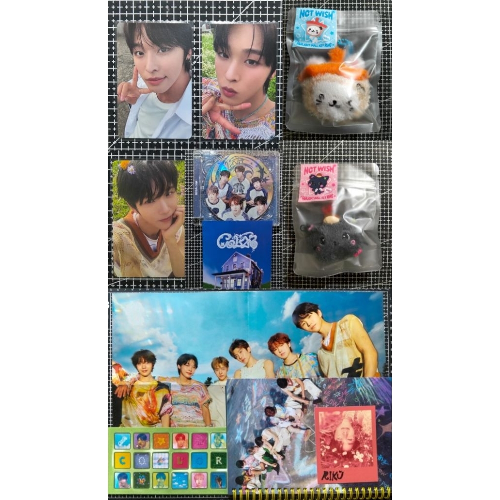 ตุ๊กตา PC PATTERN RAKU YUSHI JAEHEE FANLIGHT KEYRING MD ในที่ WISH : OUR WISH KURI BUBBLENYANG BABY 