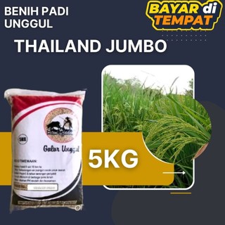 BENIH PADI UNGGUL THAILAND JUMBO KEMASAN 5KG BERKUALITAS PREMIUM