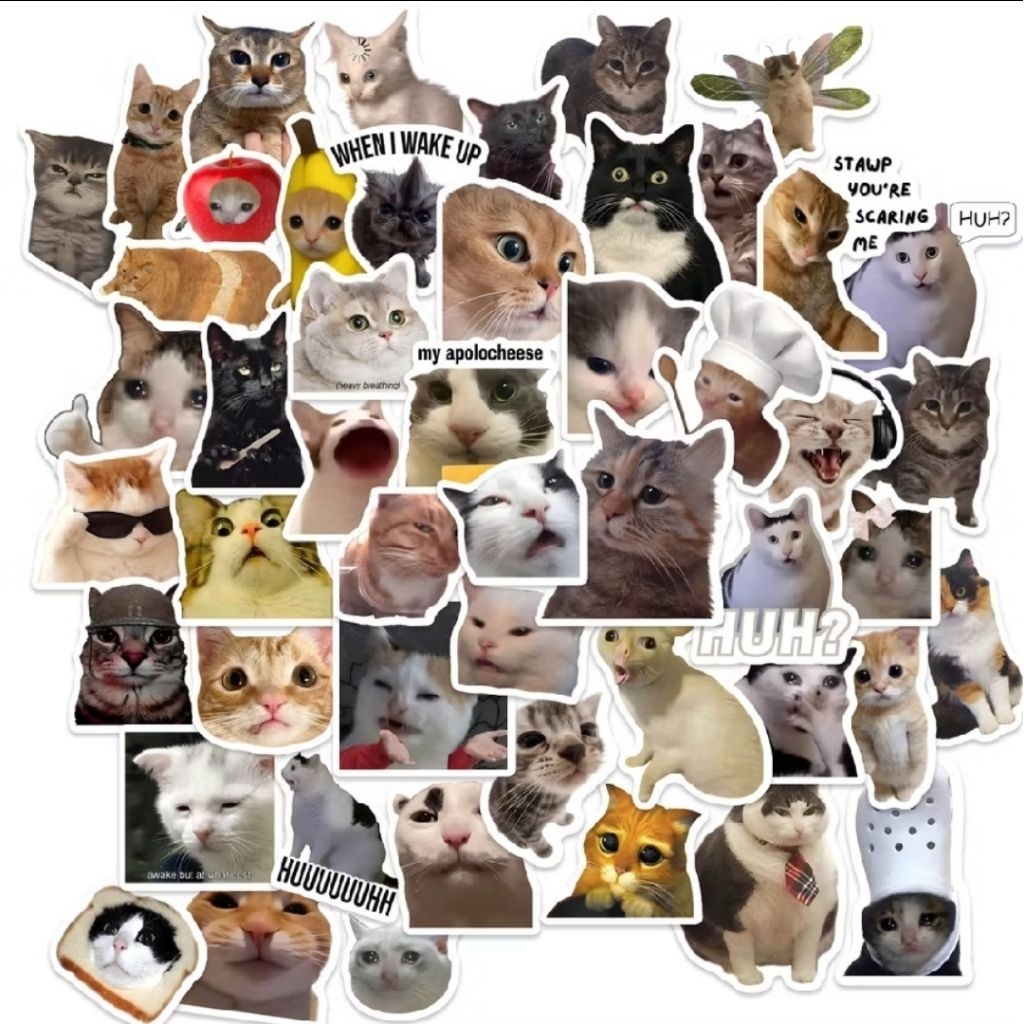 50 ชิ้น CUTE CAT MEME สติ๊กเกอร์/CUTE CAT MEME PACK สติ๊กเกอร์