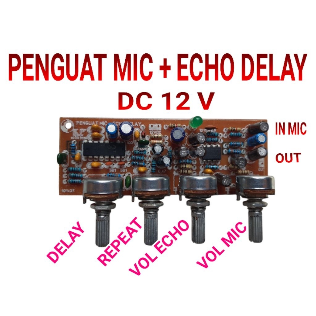 KIT PEGOAT MIC + ECHO PT2399