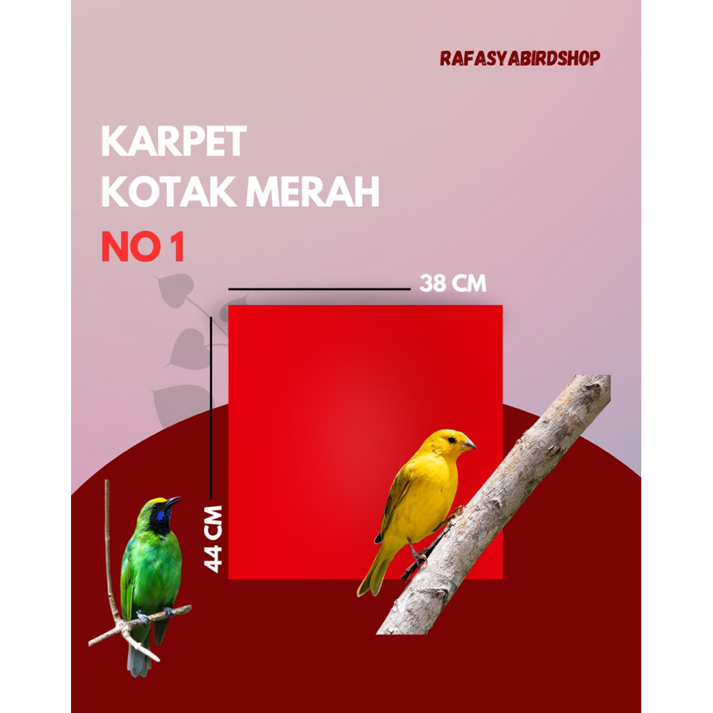 MERAH RED SQUARE CARPET NUMBER 1