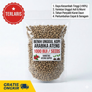 1000 biji benih kopi arabika ateng-bibit unggul asli-berkualitas tinggi & siap tanam