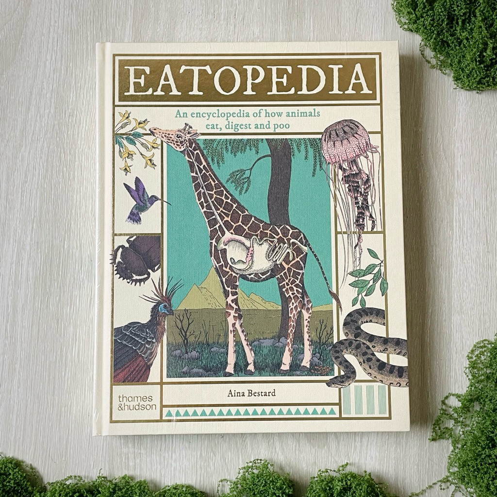 เทมส์ และ Hudson - Eatopedia