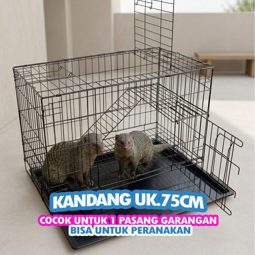 GARANGAN CAGE UK.75 - ฟรี LADDER RACK, NAME TAG, TRAY - UK.48 X 30 X 38, สามารถพับได้