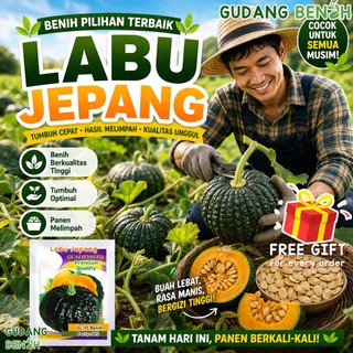 [TERBARU] Benih Tanaman Buah/Sayuran Labu Jepang Premium Quality Isi 15 Benih