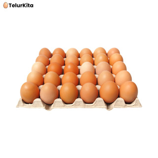 Telur Ayam Lokal