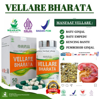 Obat Batu Ginjal & Batu Empedu Obat Penghancur Kencing Batu Vellare Bharata Original
