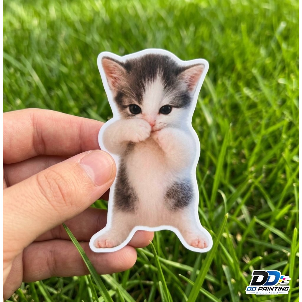 สติ๊กเกอร์ Kicau Mania / Kicau Mania Meme Cat