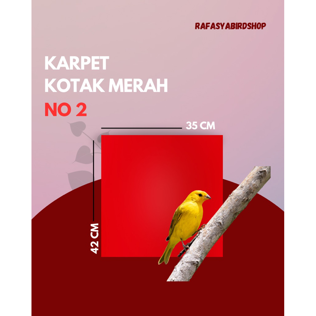 MERAH RED SQUARE CARPET NUMBER 2
