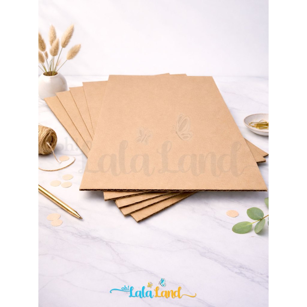 บรรจุกระดาษแข็งเสริม | CARDBOARD BOX [พิเศษสําหรับบรรจุภัณฑ์สินค้าในร้าน Ohlala]