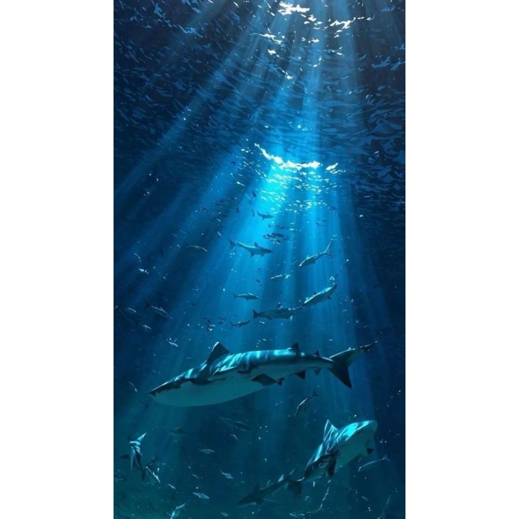 โปสเตอร์ไซเรน/พุดดิ้ง DEEP SEA MERMAID