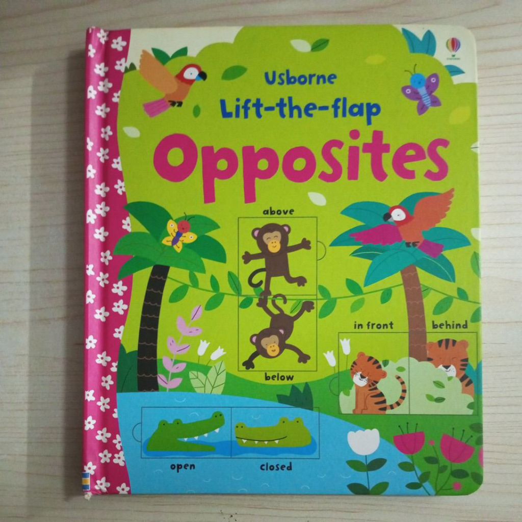 BOARDBOOK USBORNE LIFT THE FLAP OPPOSITES